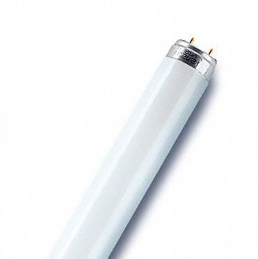 18w-t8-cool-white-4000k-tube