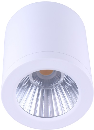 15w TRI-COLOUR Surface Mount LED Downlight WHITE FITTING - DL2081/WH/TC