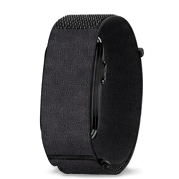 Garmin Cirqa Smart Band